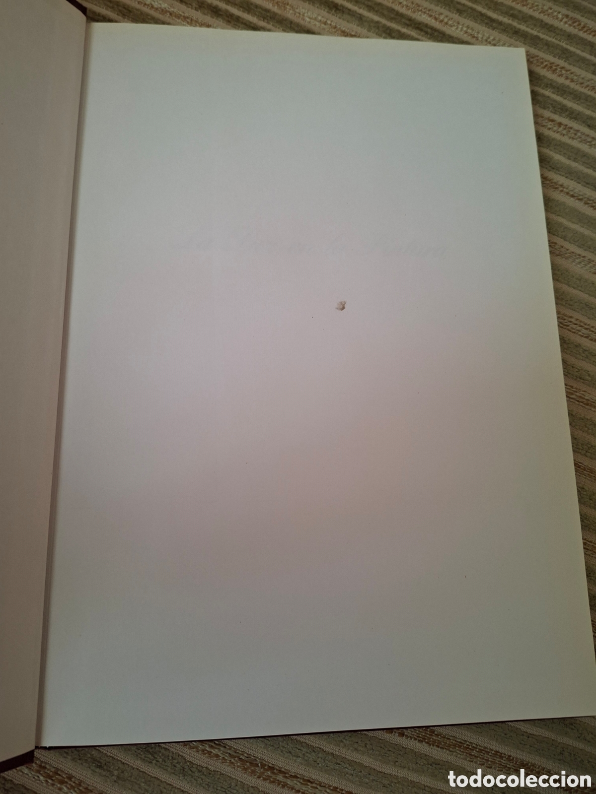 Libros de segunda mano: LA LUZ EN LA PINTURA - Foto 3