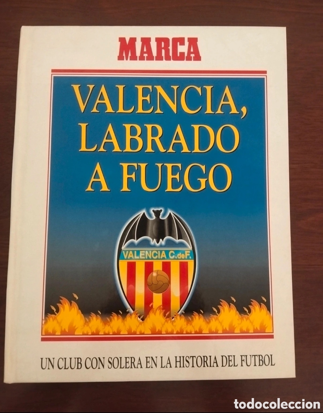Libros de segunda mano: Valencia,labrado q fuego