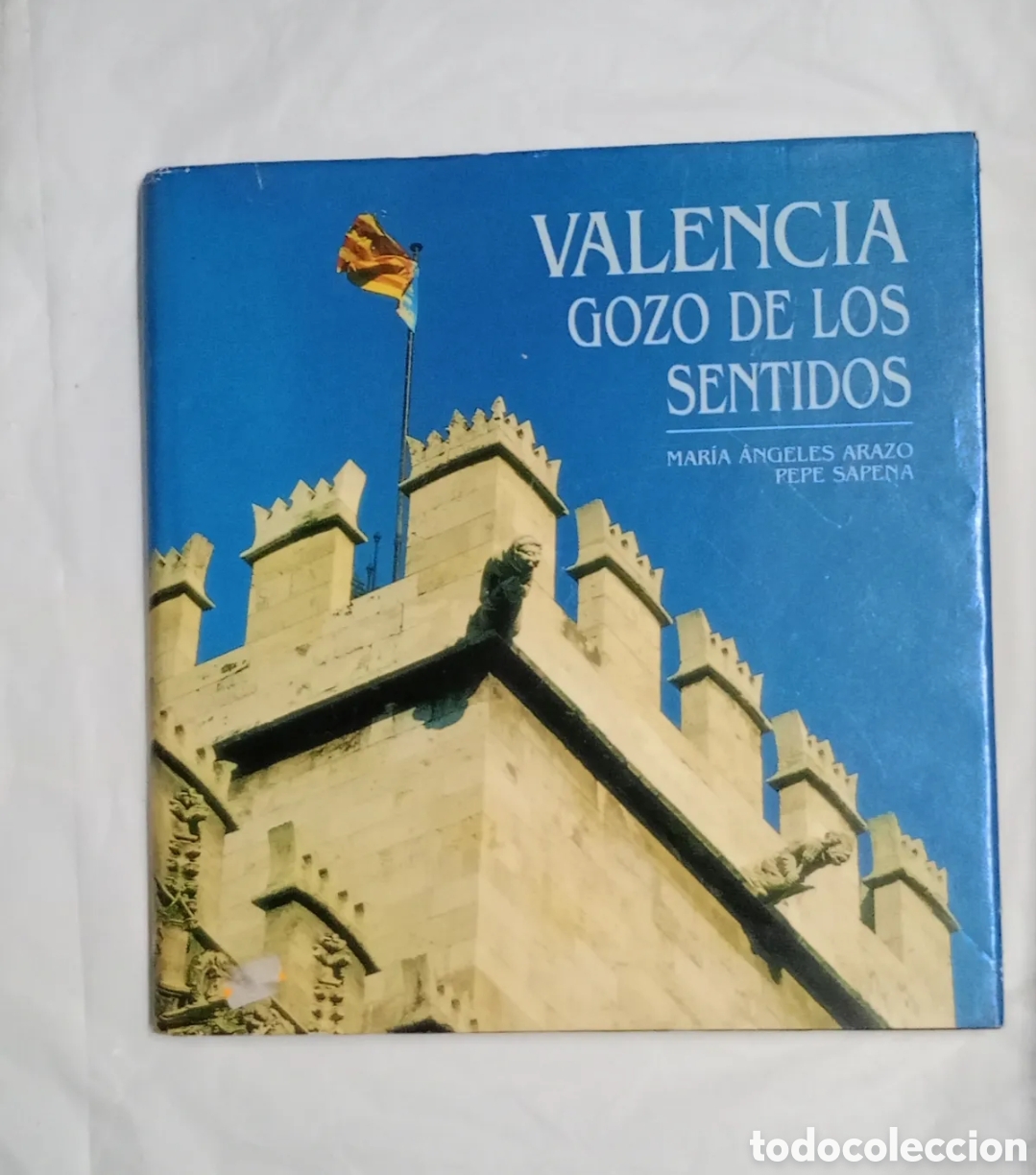 Libros de segunda mano: Valencia gozo de los sentidos Maria Angeles Arazo 1997 . Temas valencianos