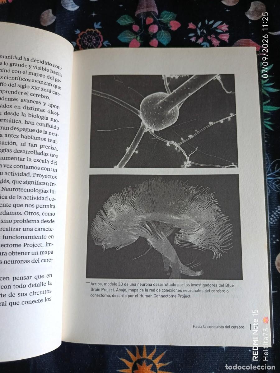 Libros de segunda mano: Libro National Geographic &rdquo;El Cerebro&rdquo; - Foto 4