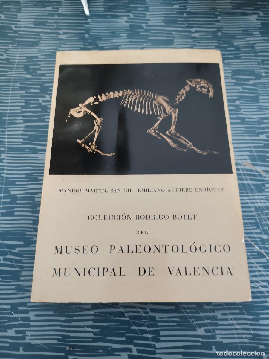 Libros de segunda mano: COLECCI&Oacute;N RODRIGO BOTET DEL MUSEO PALEONTOLOGICO MUNICIPAL DE VALENCIA,1964,89 P&Aacute;G.+LAMINAS.