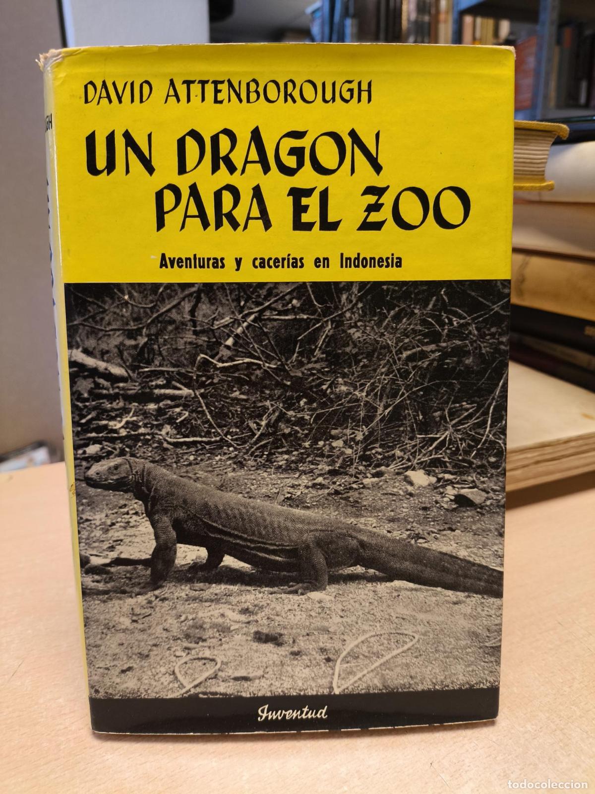 Libros de segunda mano: UN DRAGON PARA EL ZOO - DAVID ATTENBOROUGH - 1&ordf; EDICION 1963 - DAVID ATTENBOROUGH