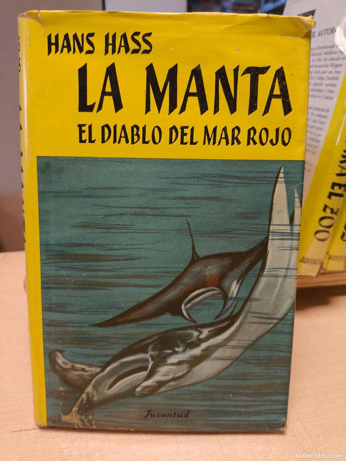 Libros de segunda mano: LA MANTA EL DIABLO DEL MAR ROJO - HANS HASS - JUVENTUD 1957 - HANS HASS