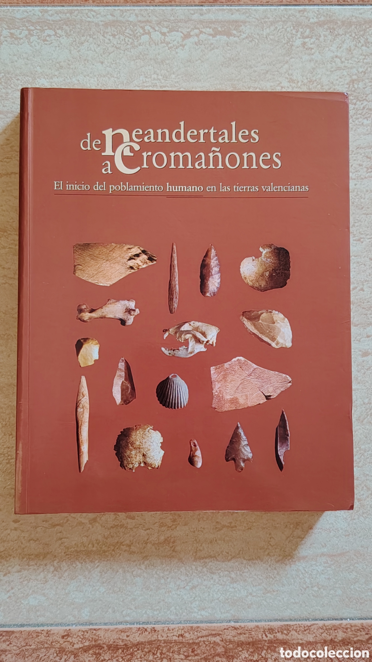 Libros de segunda mano: De neandertales a croma&ntilde;ones - Universitat Valencia 2001 - BUEN ESTADO SIN USO DIFICIL
