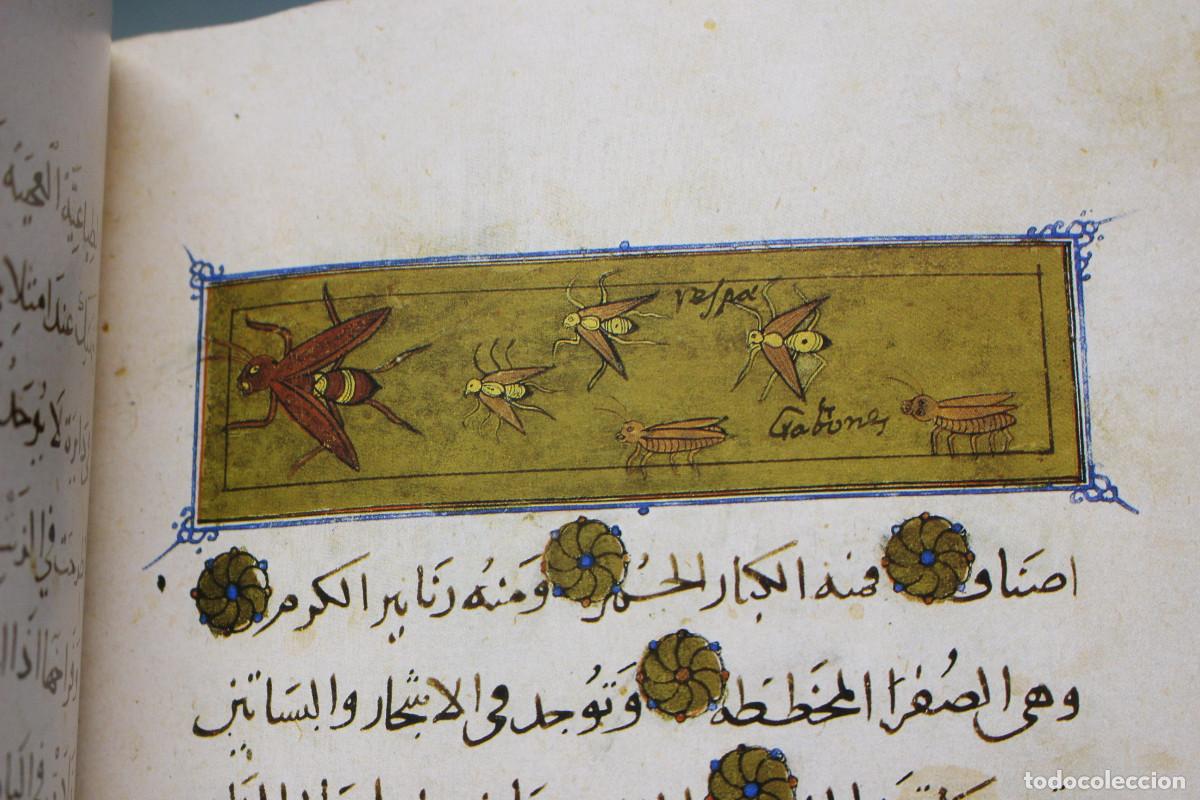 Libros de segunda mano: Facs&iacute;mil: El Libro de la Utilidad de los Animales. Ibn Al-Durayhim Al-Mawsili. - Foto 8