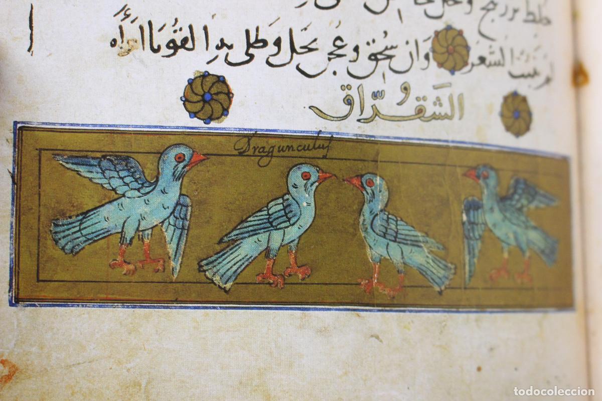Libros de segunda mano: Facs&iacute;mil: El Libro de la Utilidad de los Animales. Ibn Al-Durayhim Al-Mawsili. - Foto 9