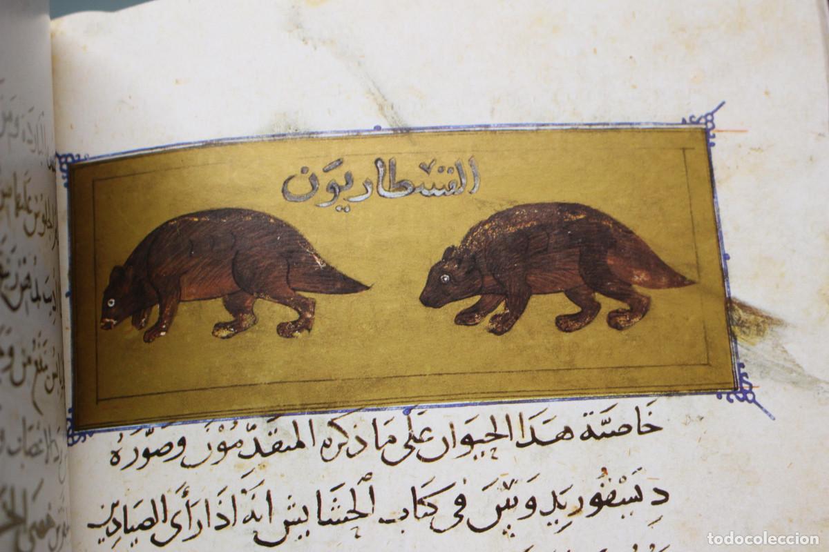 Libros de segunda mano: Facs&iacute;mil: El Libro de la Utilidad de los Animales. Ibn Al-Durayhim Al-Mawsili. - Foto 10