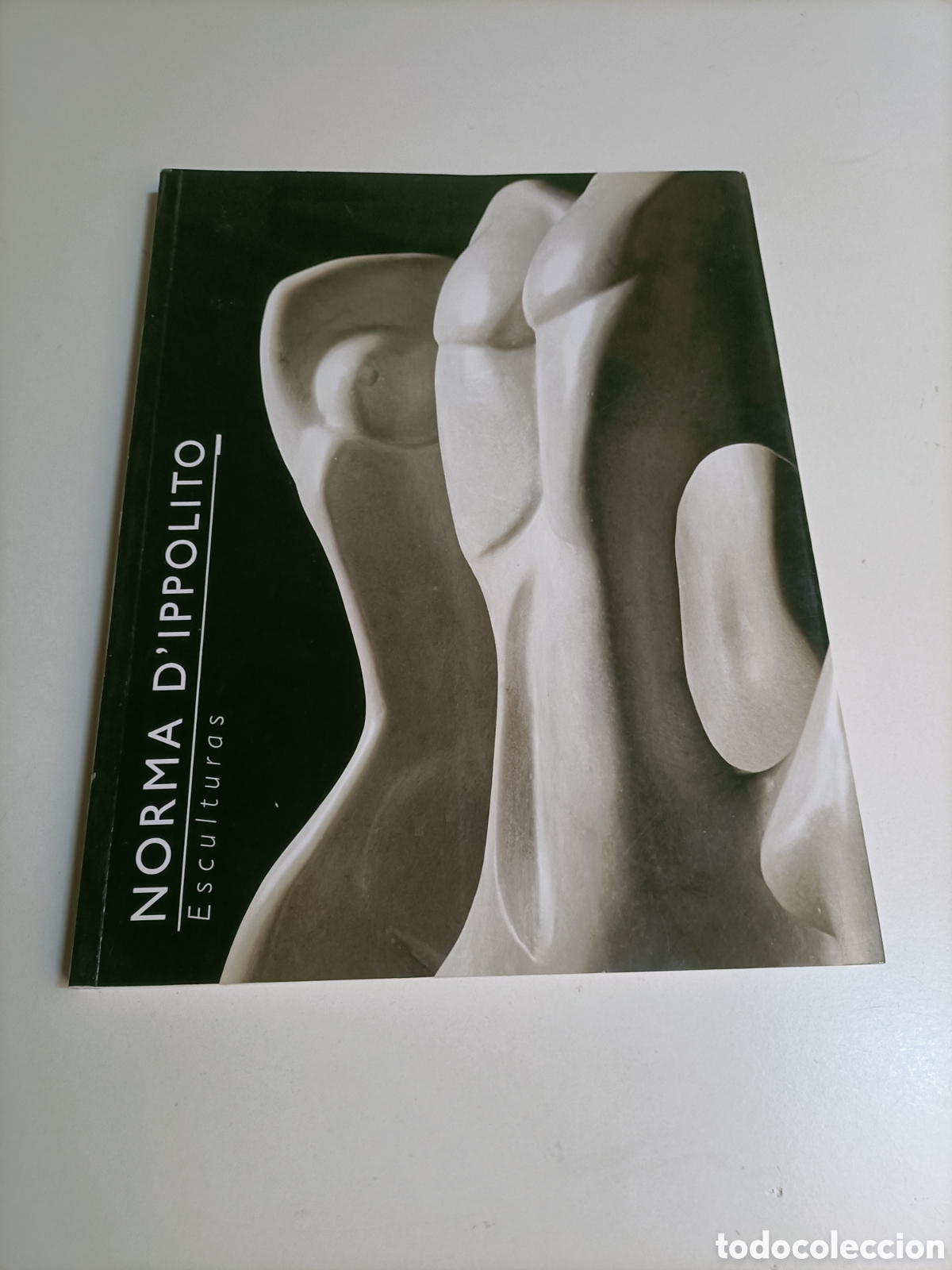 Libros de segunda mano: Norma D'ippolito Esculturas escultura