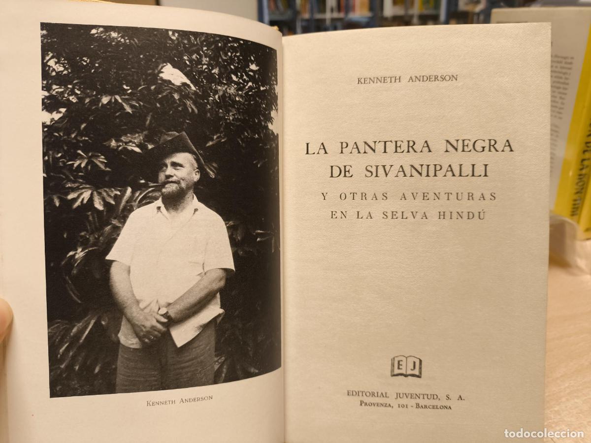 Libros de segunda mano: LA PANTERA NEGRA DE SIVANIPALLI y otras aventuras en la selva hind&uacute;- KENNETH ANDERSON - ED. JUVENTUD
