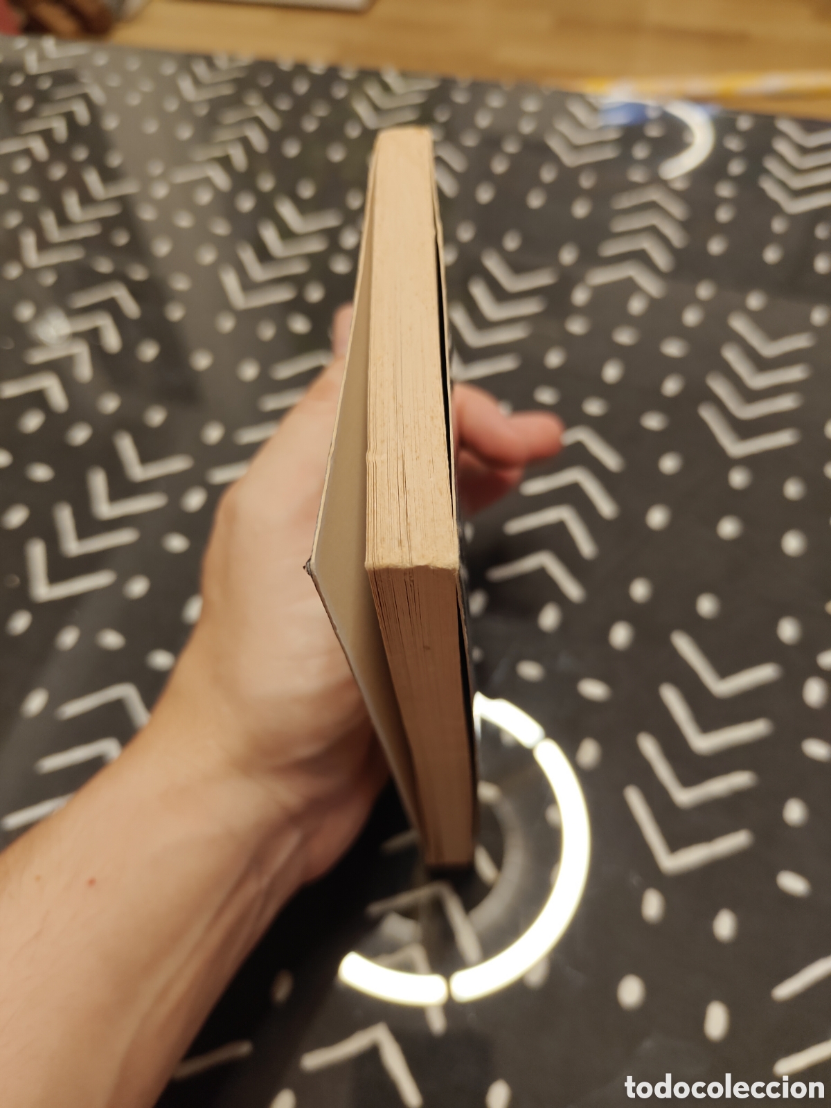Libros de segunda mano: El circo del terror n&ordm; 18 &ndash; Dungeons & Dragons &ndash; Timun Mas - Foto 3