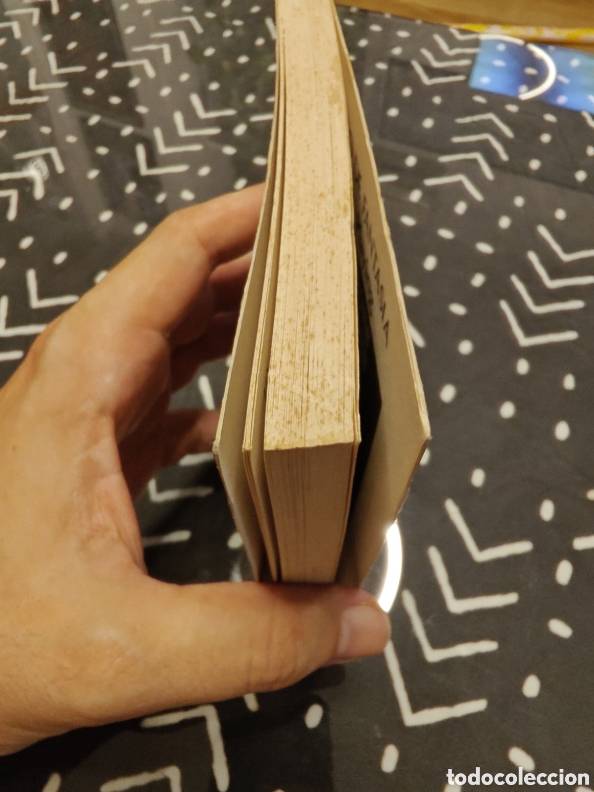 Libros de segunda mano: Prisionero de Elderwood n&ordm; 15 &ndash; Dungeons & Dragons &ndash; Timun Mas - Foto 4