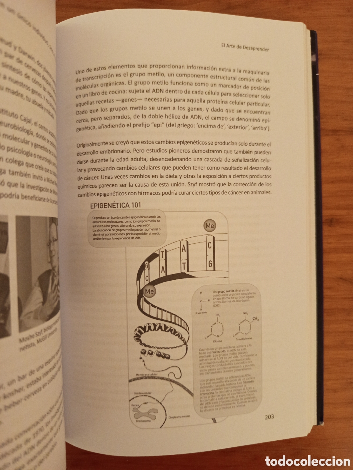 Libros de segunda mano: EL ARTE DE DESAPRENDER (ENRIC CORBERA) - Foto 10