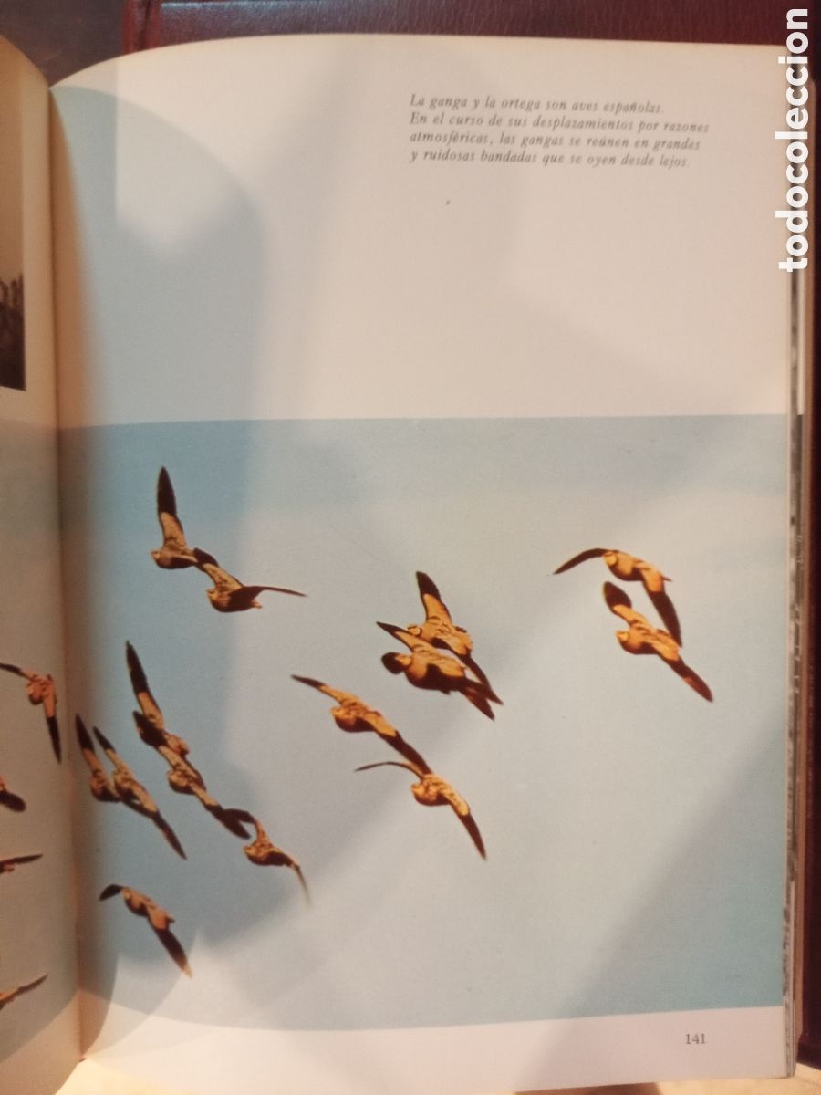 Libros de segunda mano: El gran libro de la caza ( 3 vol&uacute;menes) - Foto 4