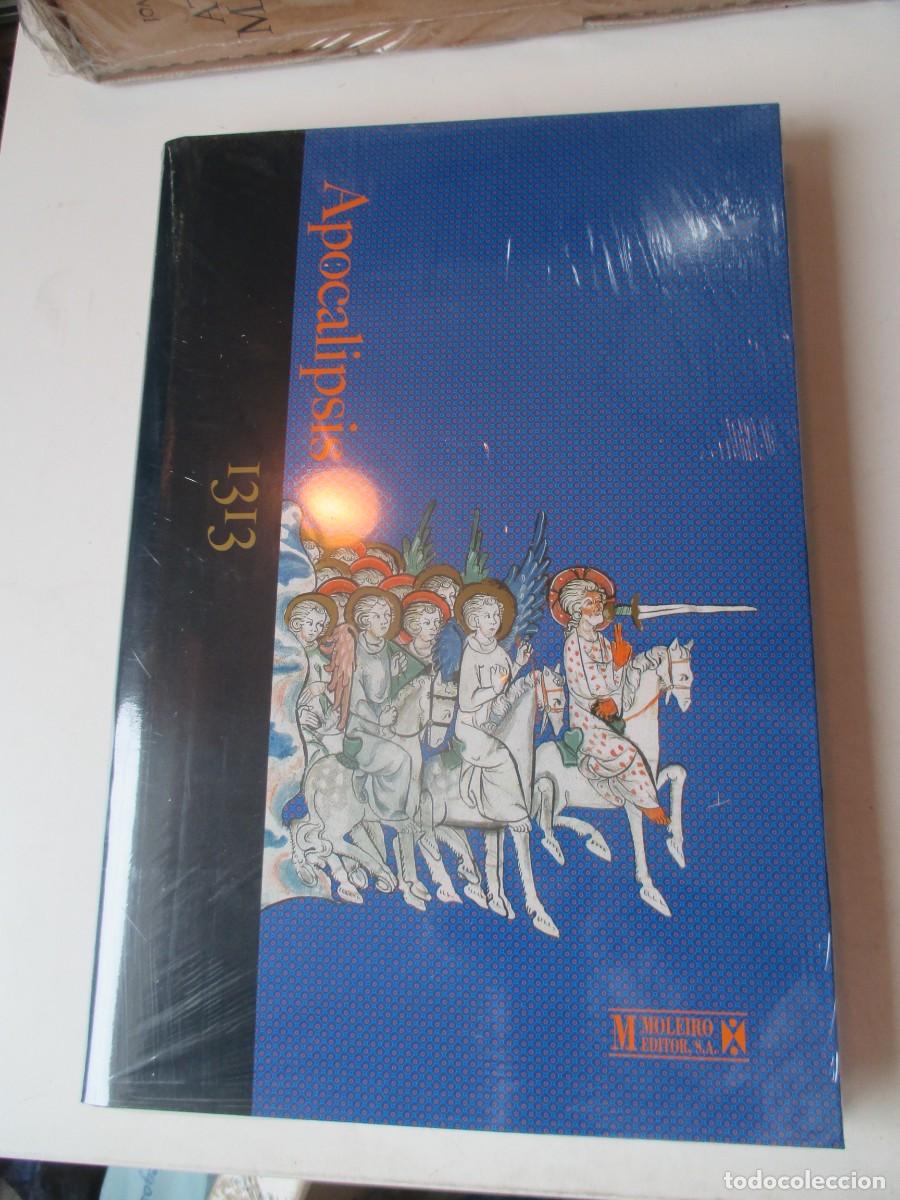Libros de segunda mano: Apocalipsis 1313 ( Editorial Moleiro) W41313 libro de estudio