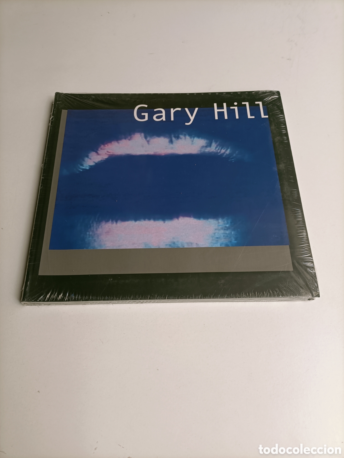 Libros de segunda mano: Gary Hill Fundaci&oacute;n Juan March . Arte siglo XX XXI