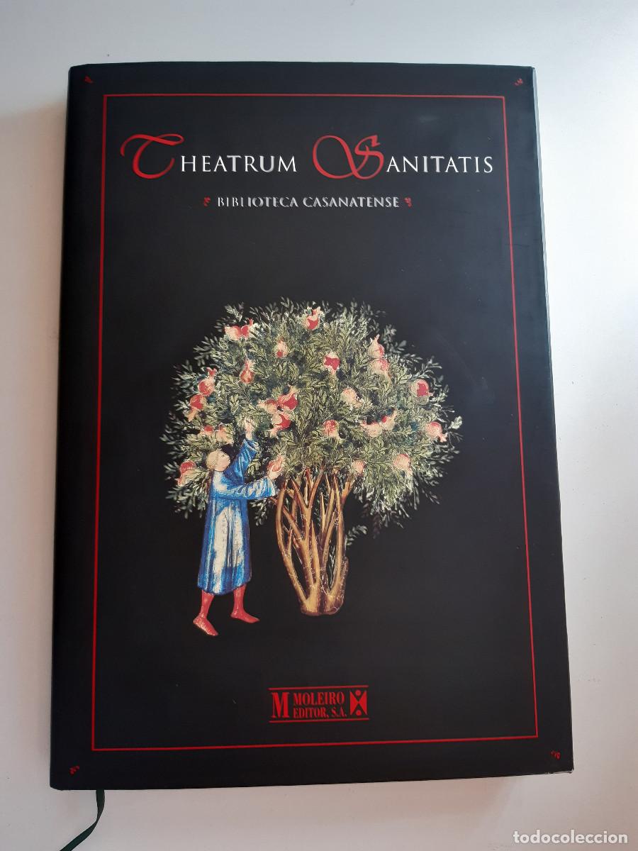 Libros de segunda mano: THEATRUM SANITATIS CASANATENSE ANNE BARTON CRISTINA ORTU&Ntilde;O MIR&Oacute; MOLEIRO 1999 TEATRO DE LA SALUD TM