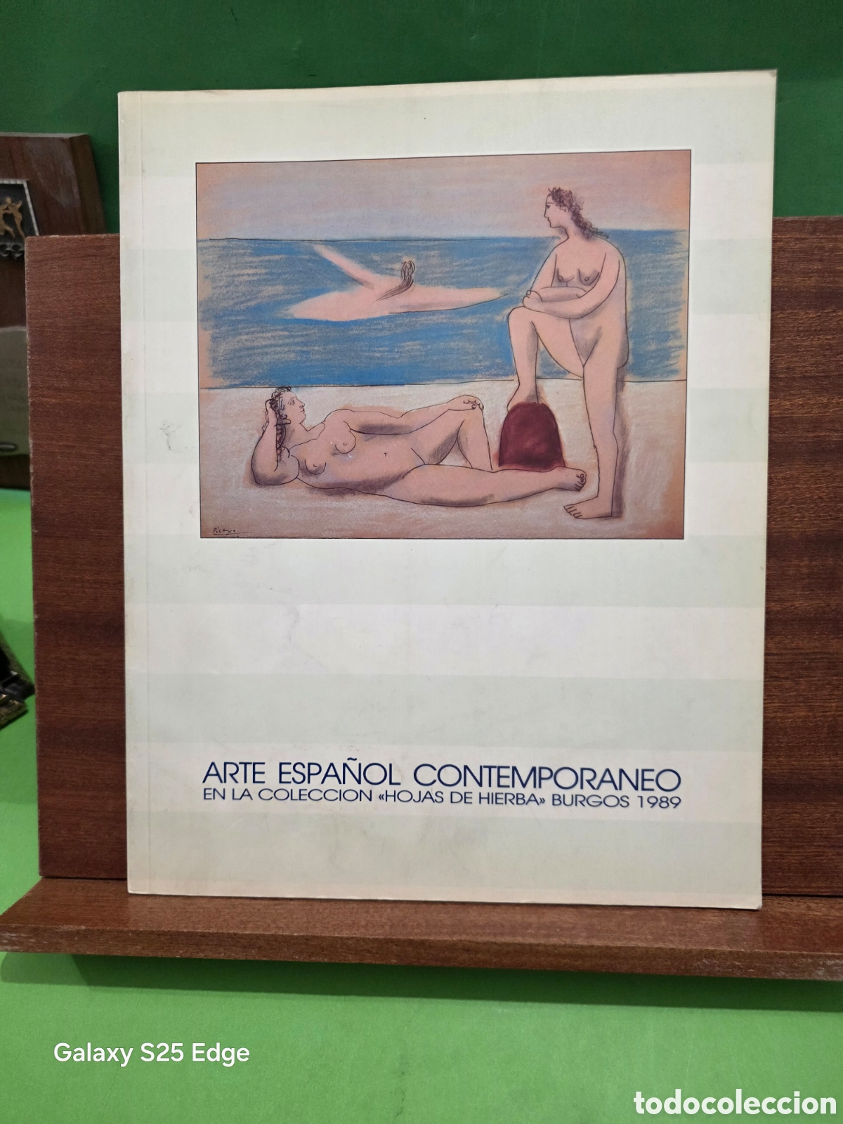 Libros de segunda mano: CAT&Aacute;LOGO...&rdquo;&rdquo;ARTE ESPA&Ntilde;OL CONTEMPOR&Aacute;NEO&rdquo;&rdquo;...EN LA COLECCI&Oacute;N &rdquo;&rdquo;HOJAS DE HIERBA&rdquo;&rdquo;... BURGOS...1989...