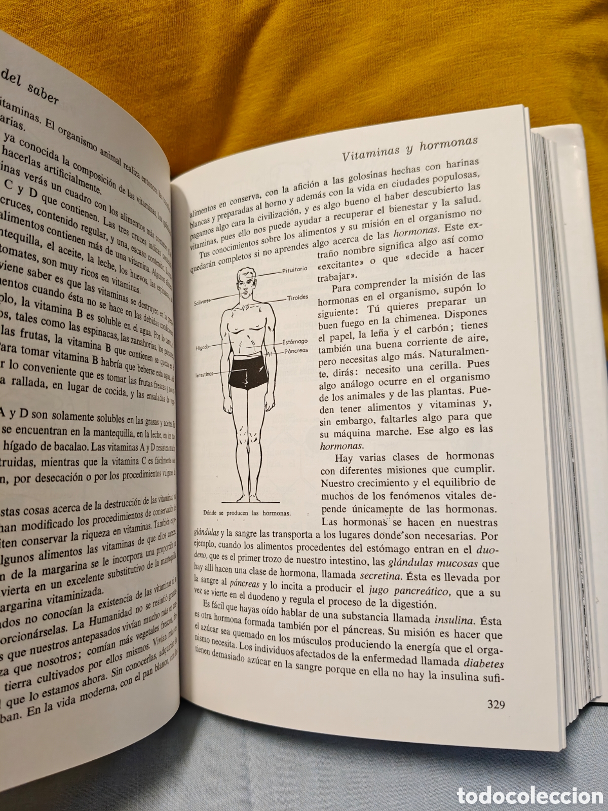 Libros de segunda mano: El mundo del saber ( ciencias y letras) - Foto 4