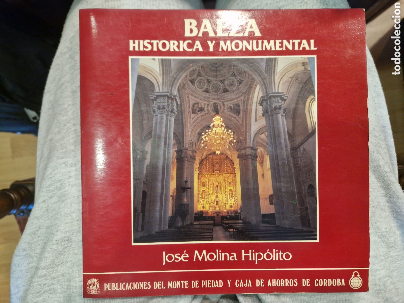 Second hand books: MOLINA HIP&Oacute;LITO, Jos&eacute;. Baeza hist&oacute;rica y monumental