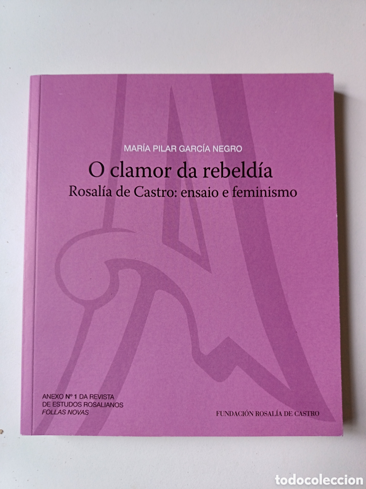 Libros de segunda mano: O clamor da rebeld&iacute;a, Rosal&iacute;a de Castro: ensaio e feminismo, Mar&iacute;a Pilar Garc&iacute;a negro