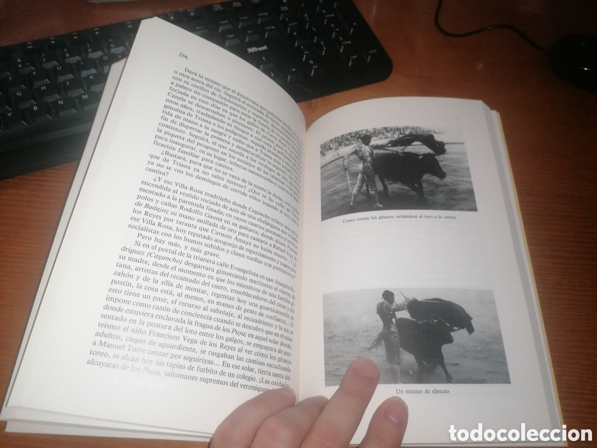 Libros de segunda mano: Libro: GITANOS EN EL RUEDO Joaqu&iacute;n Albaic&iacute;n - Foto 6