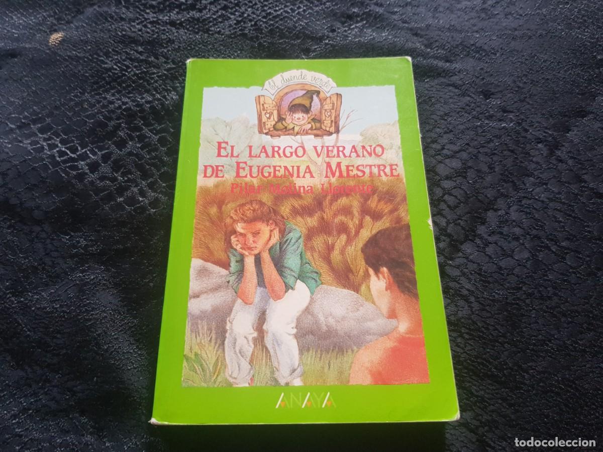 Libros de segunda mano: El largo verano de Eugenia Mestre - Pilar Molina Llorente (Anaya 1987)