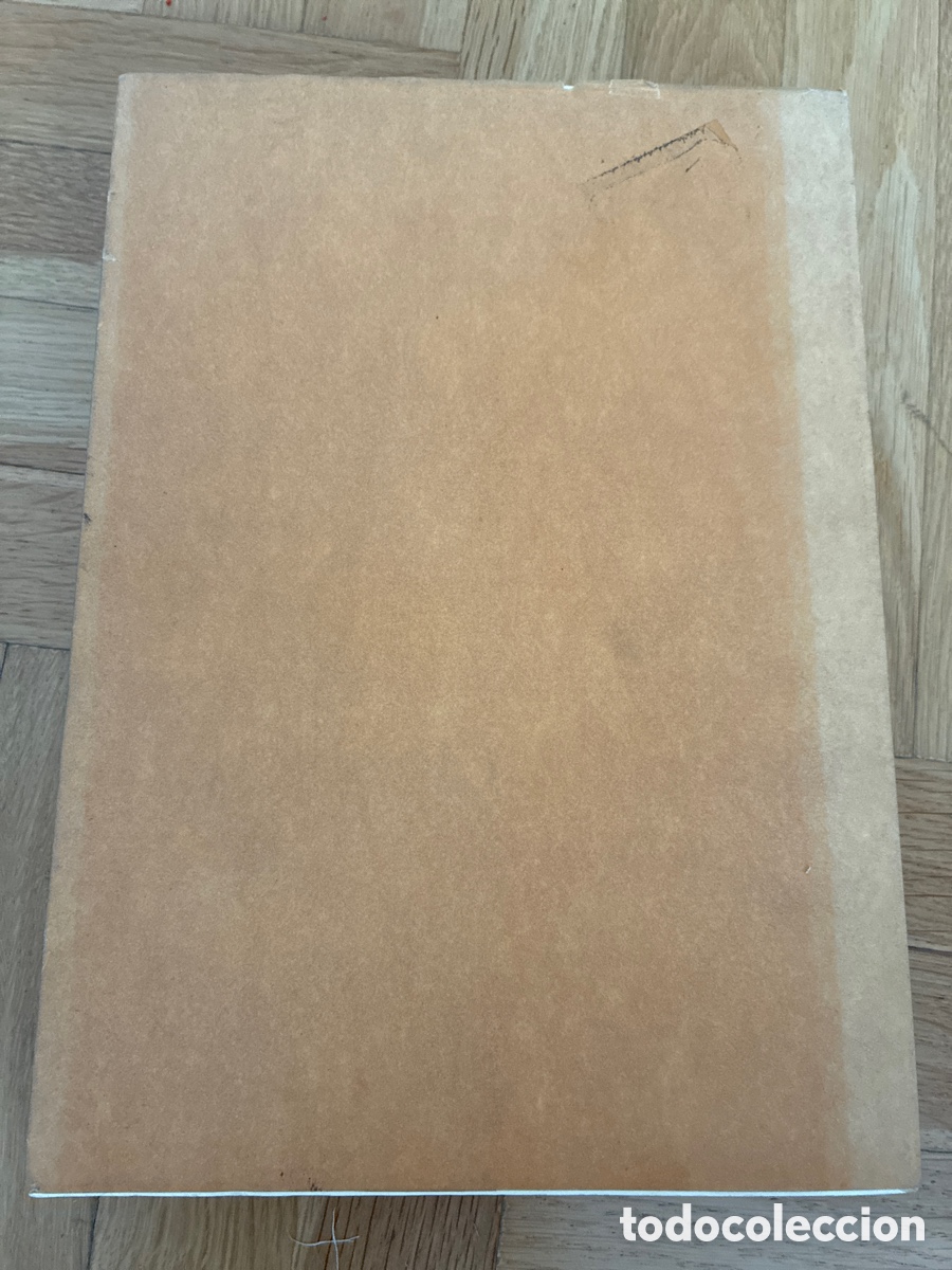 Libros de segunda mano: Rajolas valencianas y catalanas. Joseph Font y Gum&aacute;. Facs&iacute;mil - Foto 2