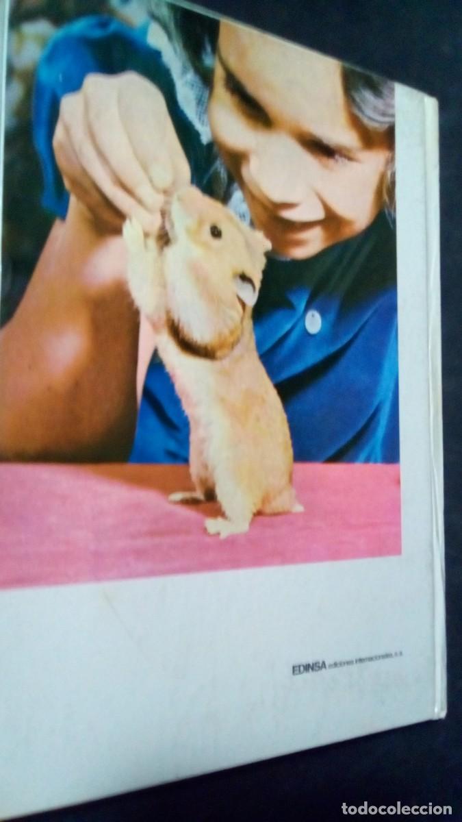 Libros de segunda mano: EL HAMSTER. EDGAR FOLK-TAPA DURA-COMO NUEVO - Foto 2