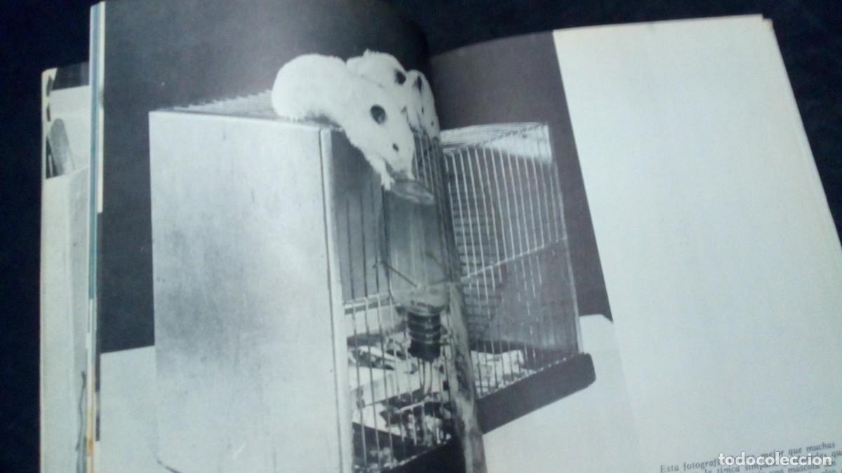 Libros de segunda mano: EL HAMSTER. EDGAR FOLK-TAPA DURA-COMO NUEVO - Foto 6