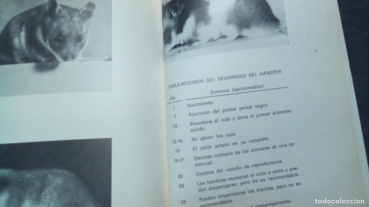 Libros de segunda mano: EL HAMSTER. EDGAR FOLK-TAPA DURA-COMO NUEVO - Foto 7