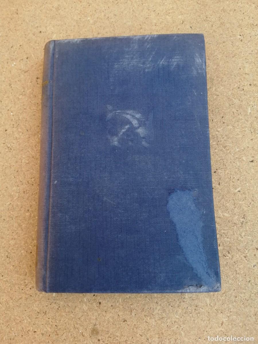 Libros de segunda mano: EL PUENTE (MANFRED GREGOR)