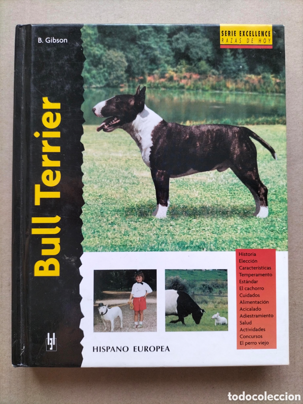 Libros de segunda mano: Bull Terrier. Bethany Gibson. Serie Excellence razas de hoy. Editorial Hispano Europea, 2006. Libro