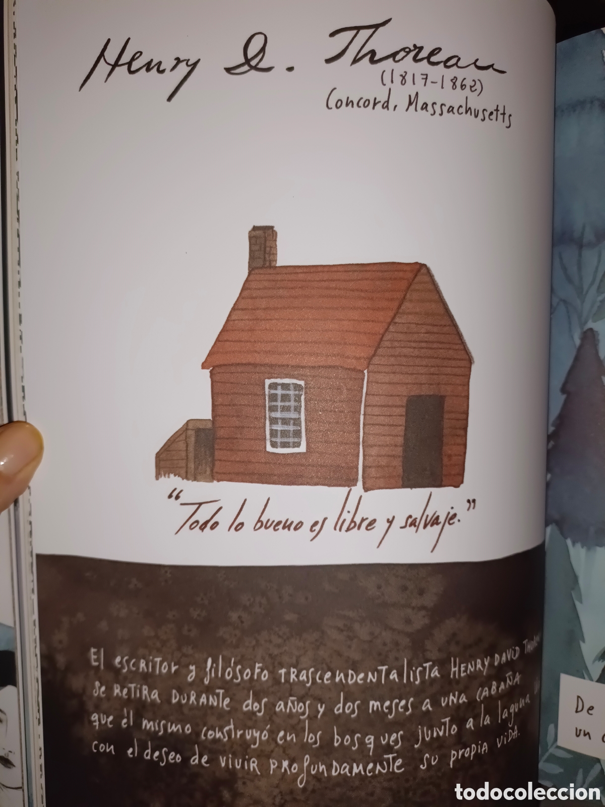 Libros de segunda mano: El Jard&iacute;n Secreto de Virginia Woolf - Foto 7