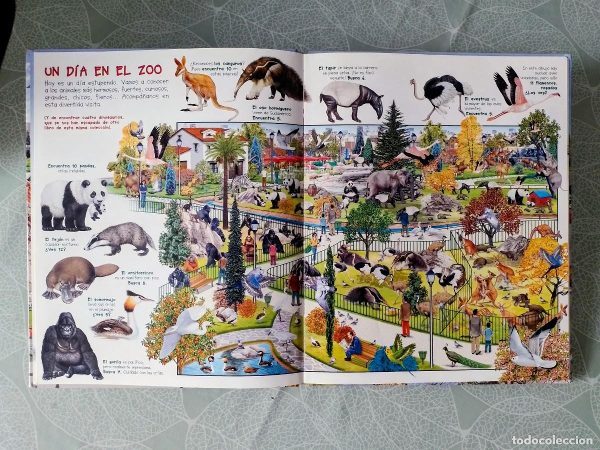 Libros de segunda mano: Busca los Animales del Zoo - Susaeta - Foto 4