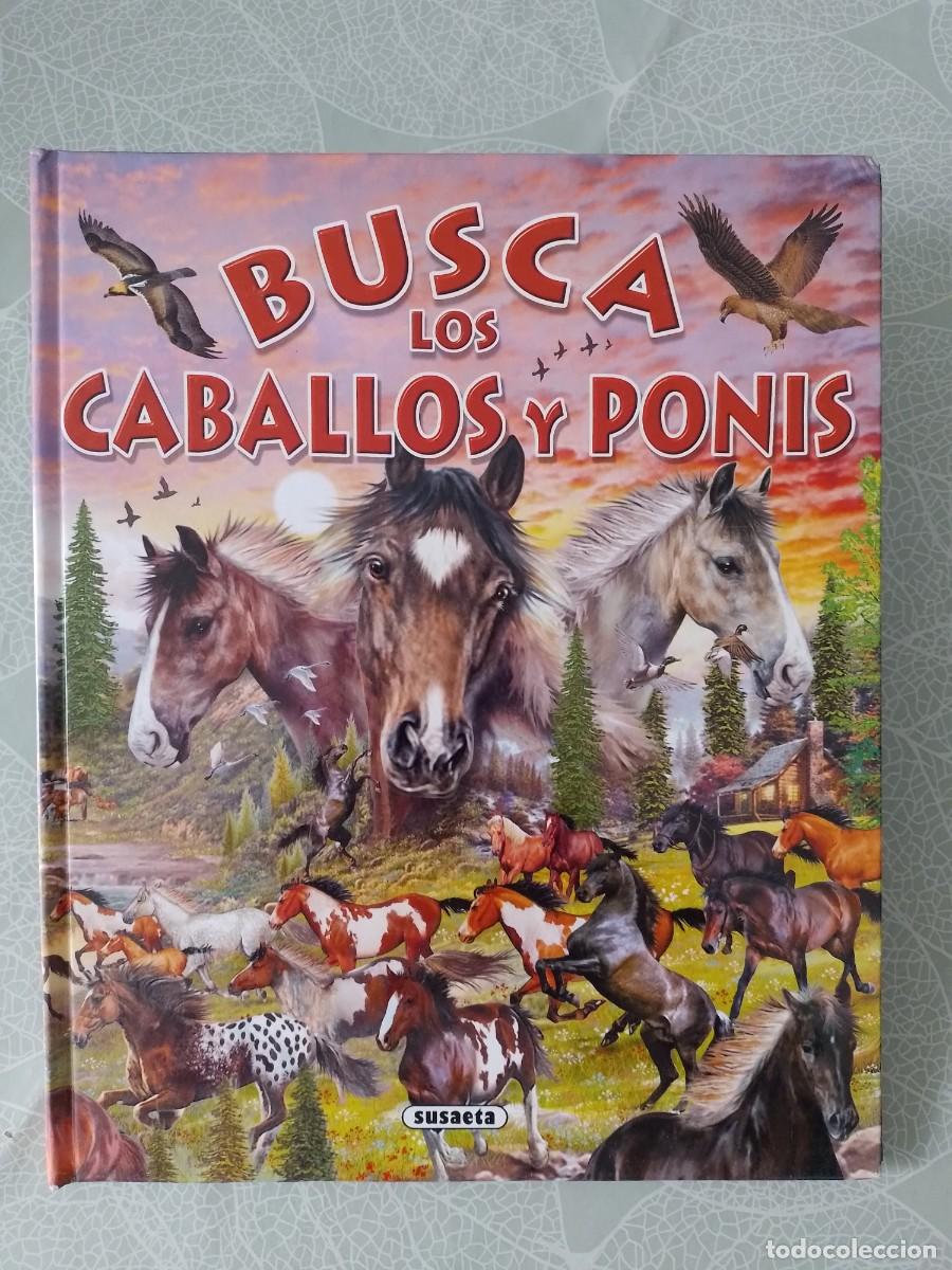 Libros de segunda mano: Busca los Caballos y Ponis - Susaeta