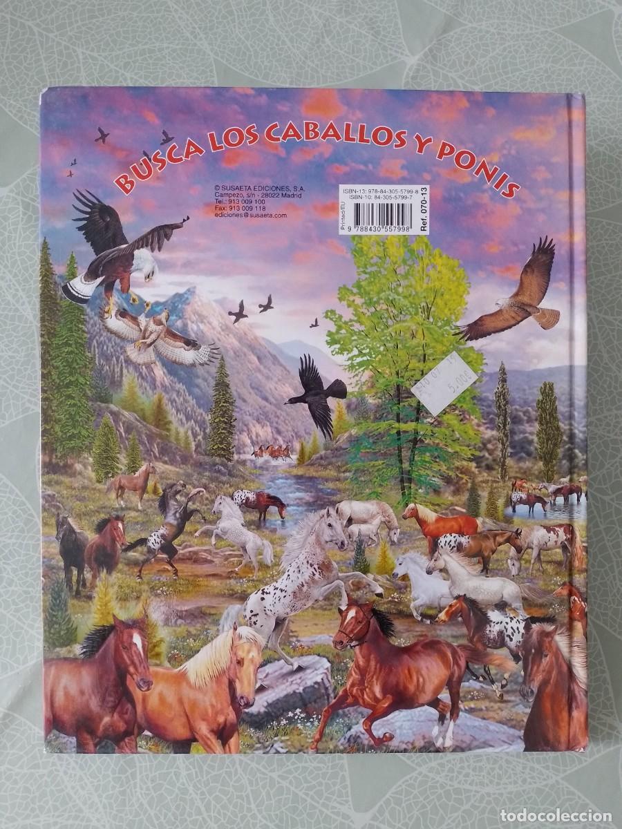 Libros de segunda mano: Busca los Caballos y Ponis - Susaeta - Foto 2