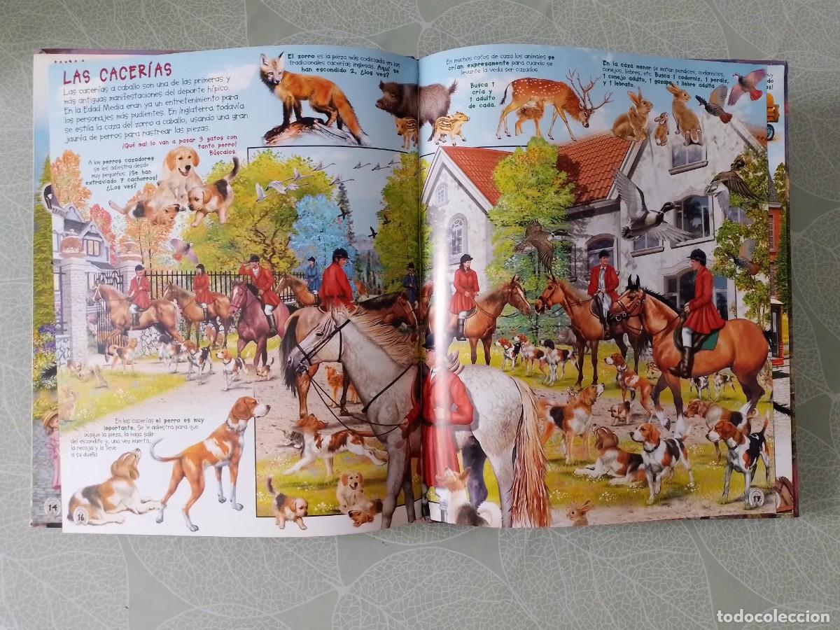 Libros de segunda mano: Busca los Caballos y Ponis - Susaeta - Foto 4