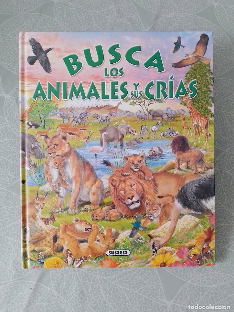 Libros de segunda mano: Busca los Animales y sus Cr&iacute;as - Susaeta