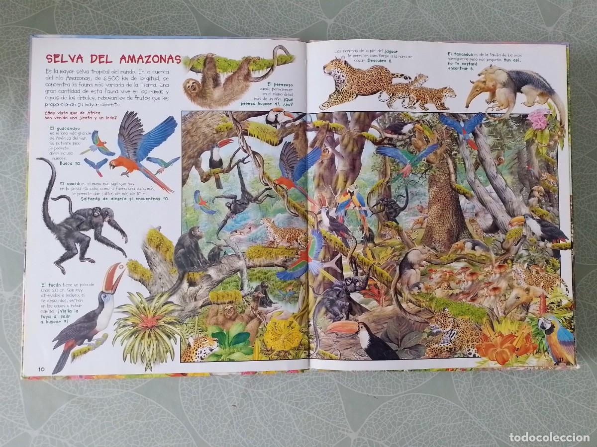 Libros de segunda mano: Busca los Animales y sus Cr&iacute;as - Susaeta - Foto 4