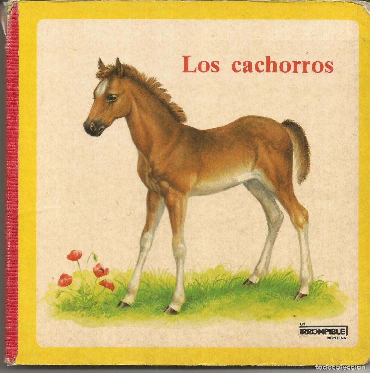 Libros de segunda mano: LOS CACHORROS - PESTOLOZZI VERLAG 1982 - ILUST. GILL EMBLETON - CARTON DURO