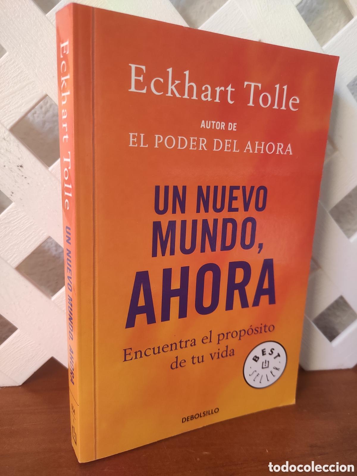 Libros de segunda mano: Un nuevo mundo, ahora - Tolle, Eckhart (PEDIDO MINIMO 10&euro;)