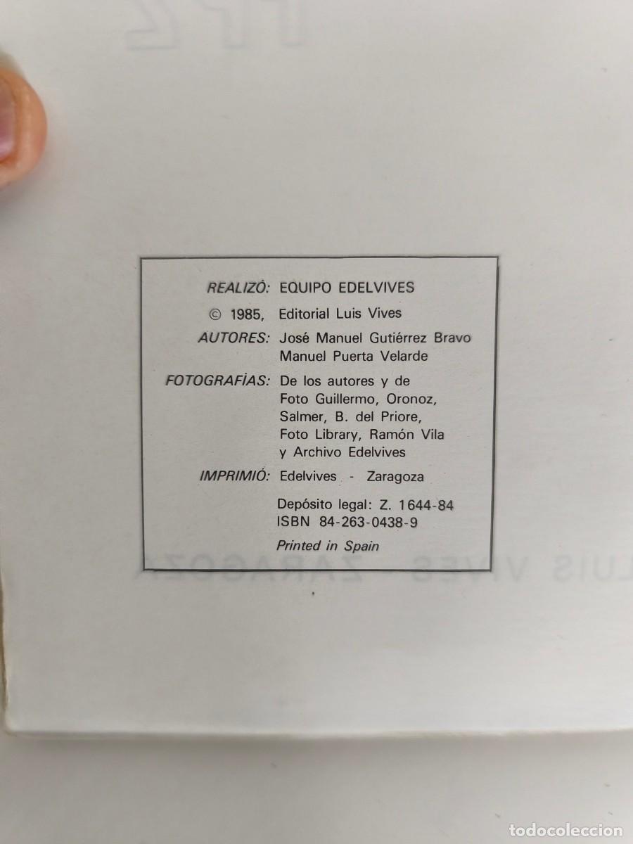 Libros de segunda mano: Lengua espa&ntilde;ola fp1 &ndash; primer curso &ndash; edelvives - Foto 3