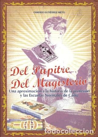 Libros de segunda mano: DEL PUPITRE DEL MAGISTERIO UNA APROXIMACION A LA HISTORIA DE LA PROFESION &hellip; - A-CA-4600 ,2
