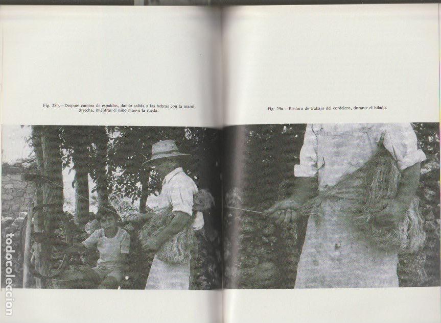 Libros de segunda mano: Artesan&iacute;as vegetales / Eulalia Castellote Herrero -1982 - Foto 3