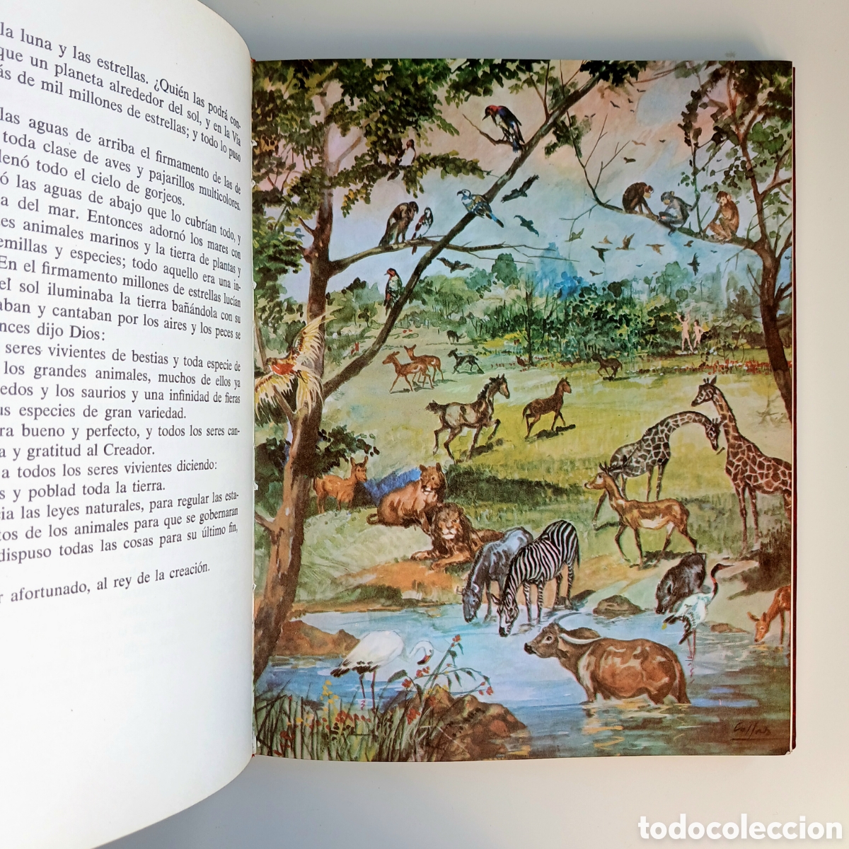 Libros de segunda mano: Biblia Juvenil. Monar, 1986 - Foto 4