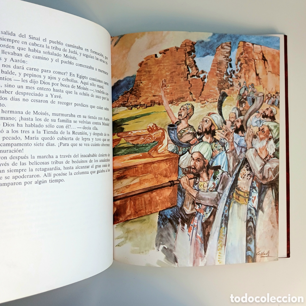 Libros de segunda mano: Biblia Juvenil. Monar, 1986 - Foto 6