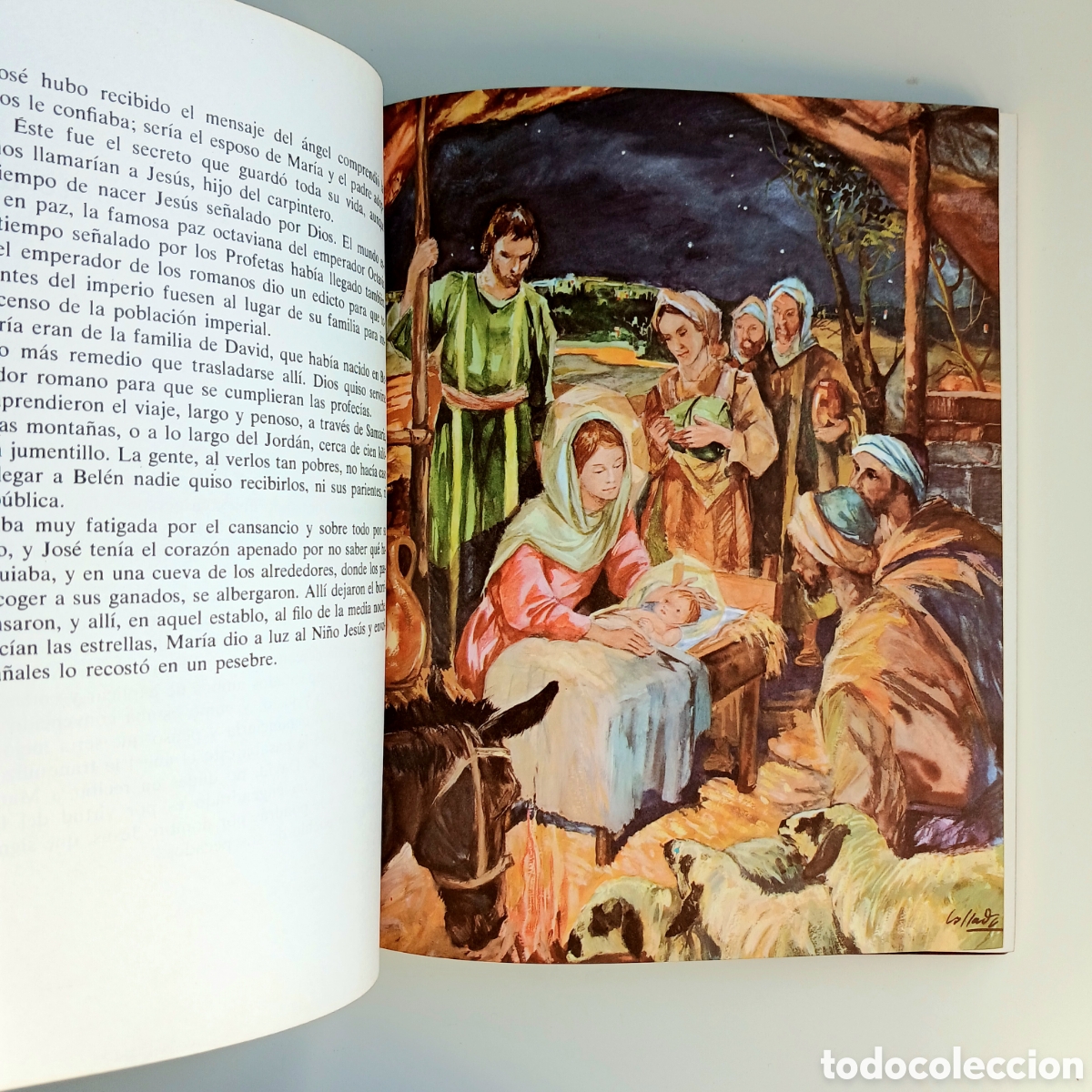 Libros de segunda mano: Biblia Juvenil. Monar, 1986 - Foto 8