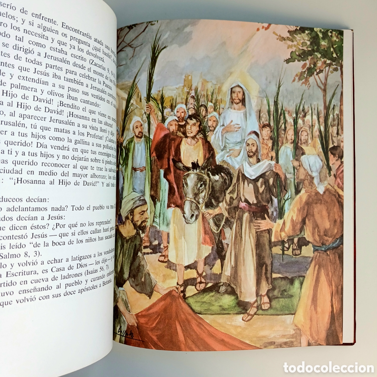 Libros de segunda mano: Biblia Juvenil. Monar, 1986 - Foto 11