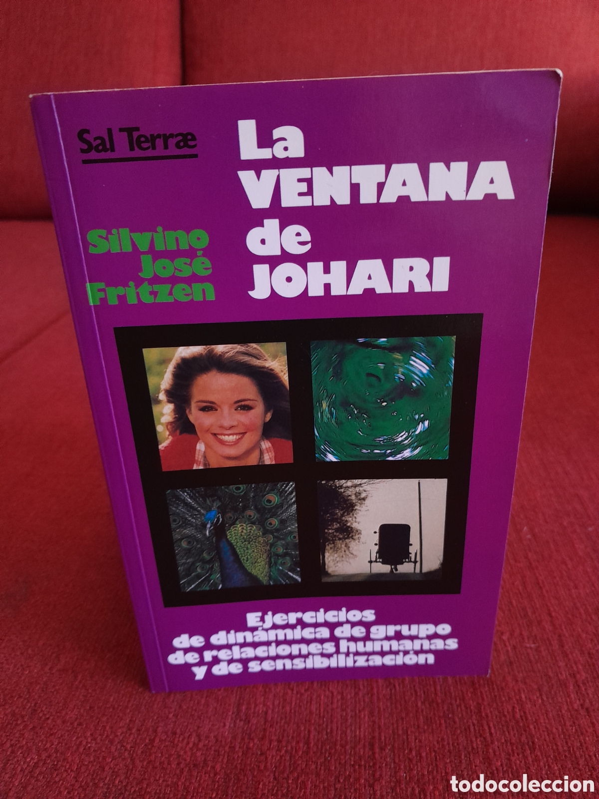 Libros de segunda mano: -La ventana de Johari.Silvino Jos&eacute; Fritzen.