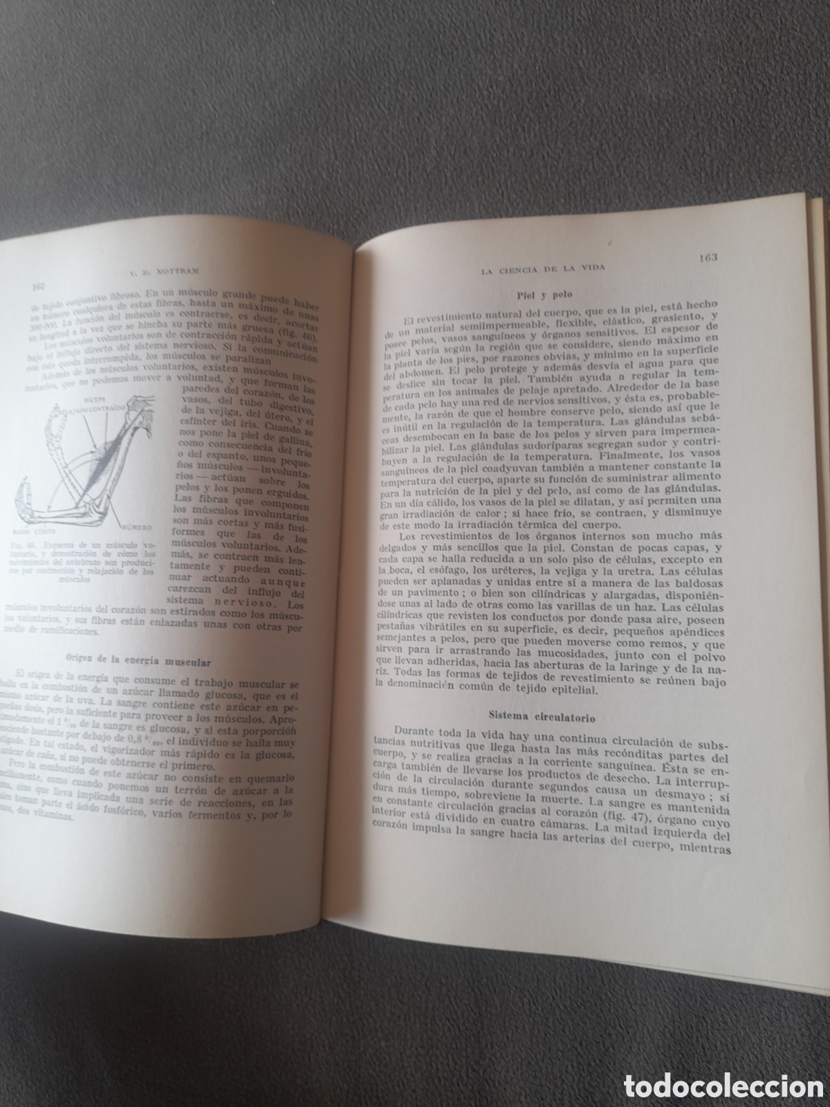 Libros de segunda mano: Lo que tu debes saber por Levy - Foto 8